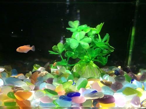 1 Lb (460 g) Decorative Crystal Pebbles Irregular Shaped Colorful Opal Stones Cat's Eye Gemstone Small Tumbled Chip Gravel...