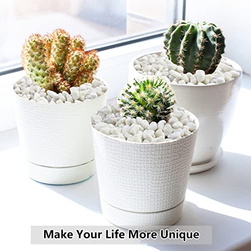 0.5LB Succulent and Cactus Gravel Pebbles, 1/5 Inch Natural Decorative Polished Stones, River Rocks for Vases, Aquariums, ...