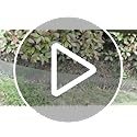 Meyoppm Corrugated Garden Edging 10" x 20',Metal Landscape Edging Sturdy Garden Long Strips,Metal Edging for Landscaping,S...