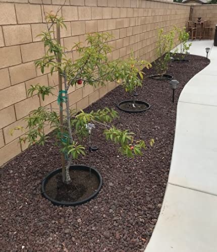 (3) ea. (16, 20 & 24 in) Planting Rings. Edging and Water Retention. Protects Roses, Shrubs, Trees and Separates Rock, Mul...