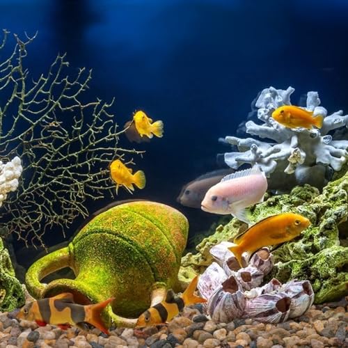 Pulovin 5 lbs Drainage Rocks for Potted Plants, 1/5 Inch Small Pebbles for Indoor Plants, Decorative Gravel for Vases, Bam...