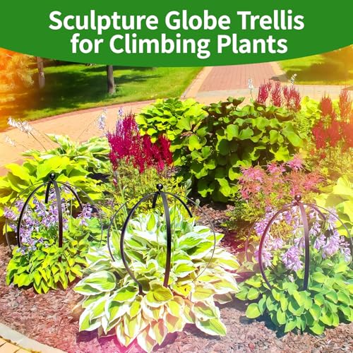 2Pcs Metal Obelisk Trellis for Climbing Plants Outdoor, 25.5"X21.5" Circle Garden Trellises for Vines Flowers Climbing Pla...