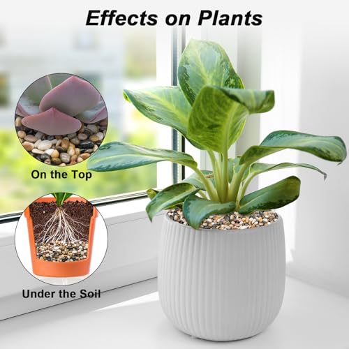 Virekm River Rocks, Decorative Ornamental Pebbles,Garden Landscaping Stones,Gravel Filler for Home Decoration Flower Bed F...