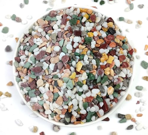 0.5LB Succulent and Cactus Gravel Pebbles, 1/5 Inch Natural Decorative Polished Stones, River Rocks for Vases, Aquariums, ...