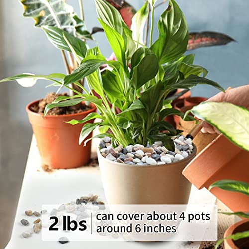 YISZM 2LB Succulent and Cactus Gravel Pebbles, 1/5 Inch Natural Decorative Polished Stones, River Rocks for Vases, Aquariu...