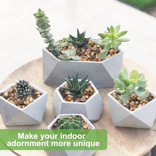 Pulovin 2.5 lbs Drainage Rocks for Potted Plants, 1/5 Inch Small Pebbles for Indoor Plants, Decorative Gravel for Vases, B...