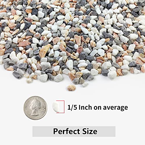 YISZM 2LB Succulent and Cactus Gravel Pebbles, 1/5 Inch Natural Decorative Polished Stones, River Rocks for Vases, Aquariu...