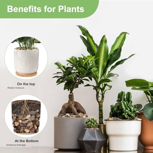 Pulovin 2.5 lbs Drainage Rocks for Potted Plants, 1/5 Inch Small Pebbles for Indoor Plants, Decorative Gravel for Vases, B...