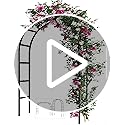 Adorox 7.8ft Garden Arch Trellis for Climbing Plants, Metal Arch Frame, Pumpkin Archway Outdoor Garden Arbors and Arches f...