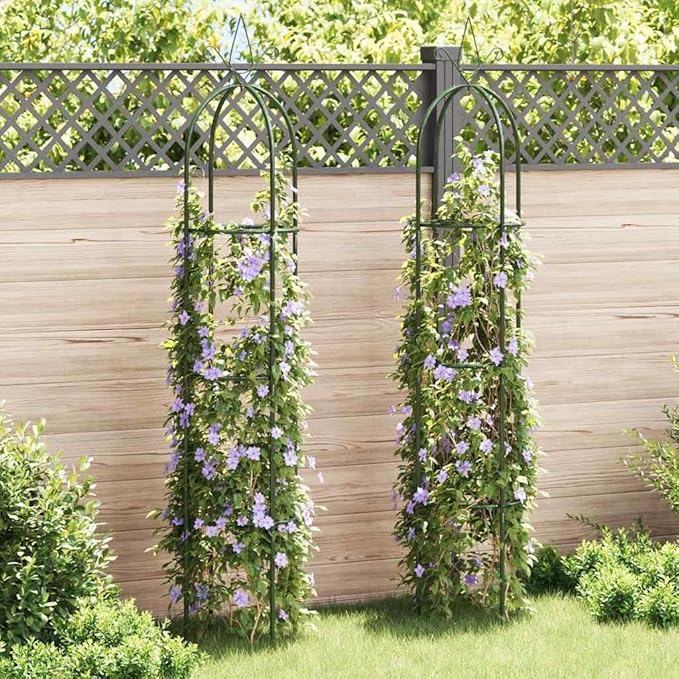CHARMMA Garden Arch Dark Green Iron Standard Decorative Design,Garden Arches, Trellises, Arbours & Pergolas-40779