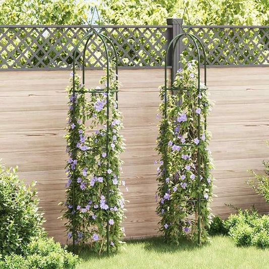 CHARMMA Garden Arch Dark Green Iron Standard Decorative Design,Garden Arches, Trellises, Arbours & Pergolas-40779