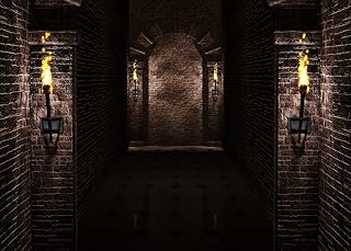 BELECO 10x8ft Fabric Gothic Castle Backdrop Ancient Black Brick Stone Wall Arches Torches Dungeon Medieval Castle Scene Ha...