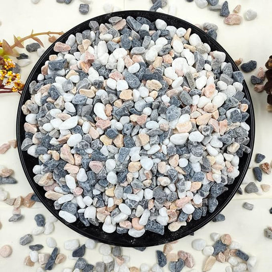 YISZM 2LB Succulent and Cactus Gravel Pebbles, 1/5 Inch Natural Decorative Polished Stones, River Rocks for Vases, Aquariu...